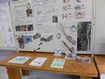 展示の様子4