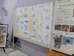展示の様子2
