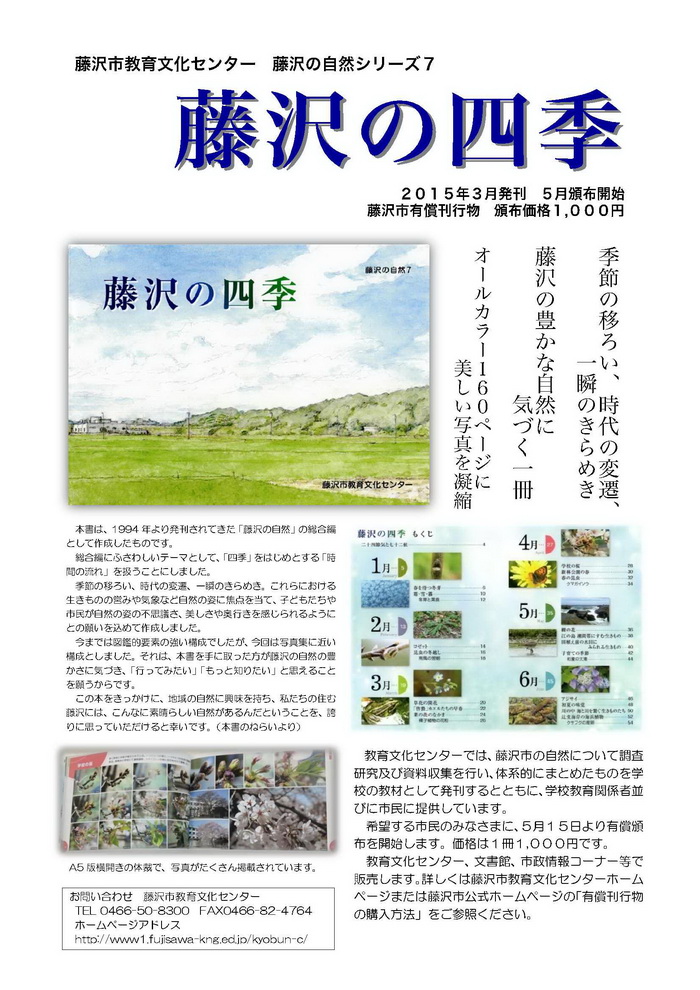 藤沢の四季