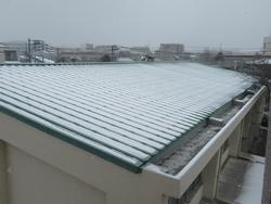 雪化粧の体育館屋根