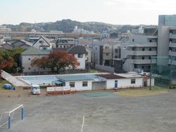 11月20日のプール