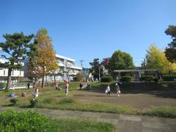 弦巻公園1