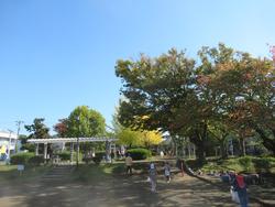 弦巻公園3