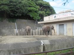 遠足3