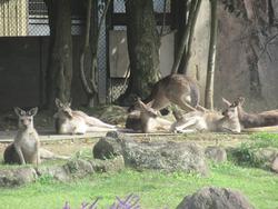 遠足7
