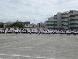 白組の応援
