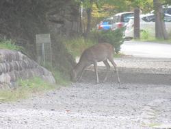 修学旅行2日目9