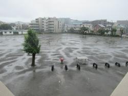 雨の校庭