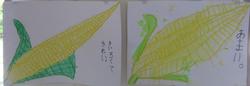 トウモロコシの絵2