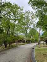 二日目朝の様子