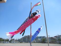 青空を泳ぐこいのぼり