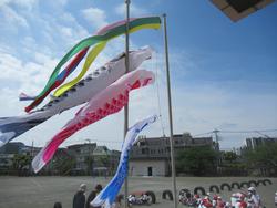 こいのぼりと3年生