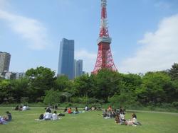 東京タワー見学1
