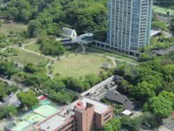 東京タワー見学3
