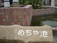 めちゃ池1