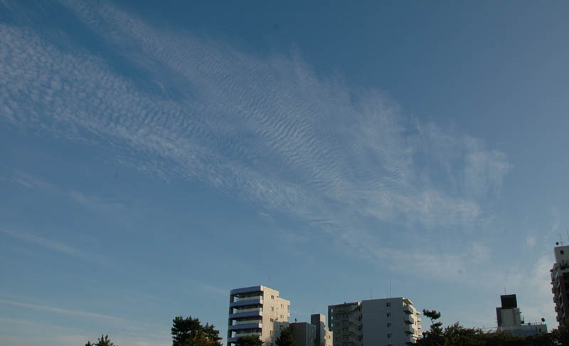 うろこ雲2