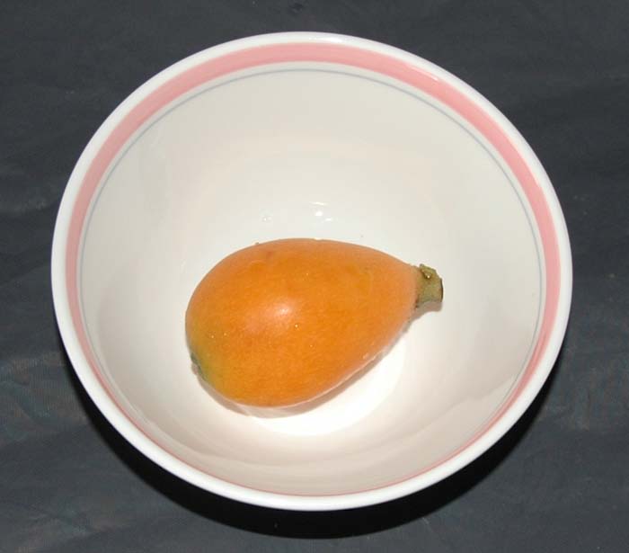 ビワの写真