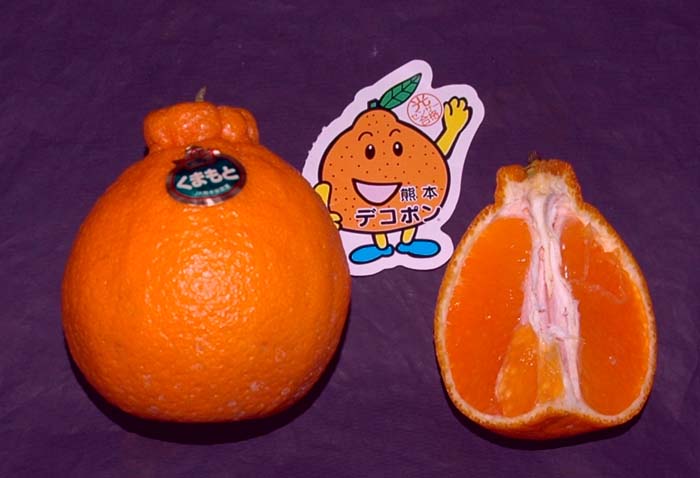 デコポンの写真