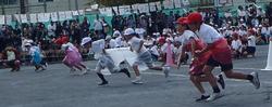 運動会の写真17
