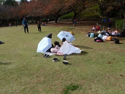 遠足の写真15
