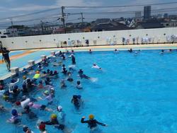 水泳学習の写真5