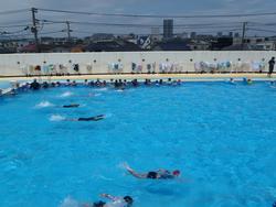 水泳学習の写真9