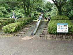 遠足の写真12