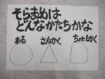 むき方の説明の写真1