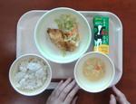 試食会で提供された給食