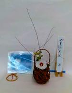 茶花