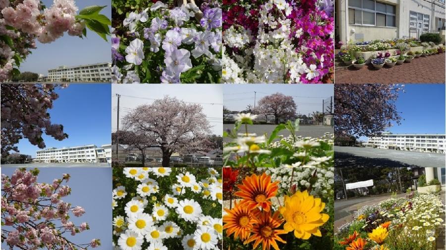 四季の写真