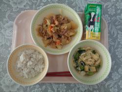 給食の写真5