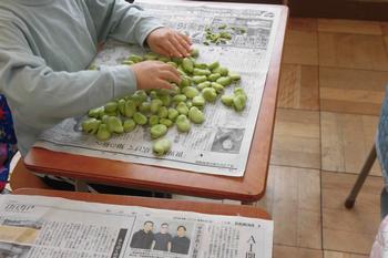 そら豆加工の写真