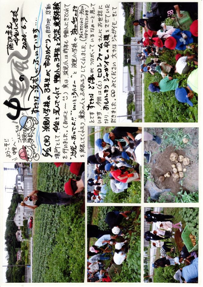 中里の風の画像1