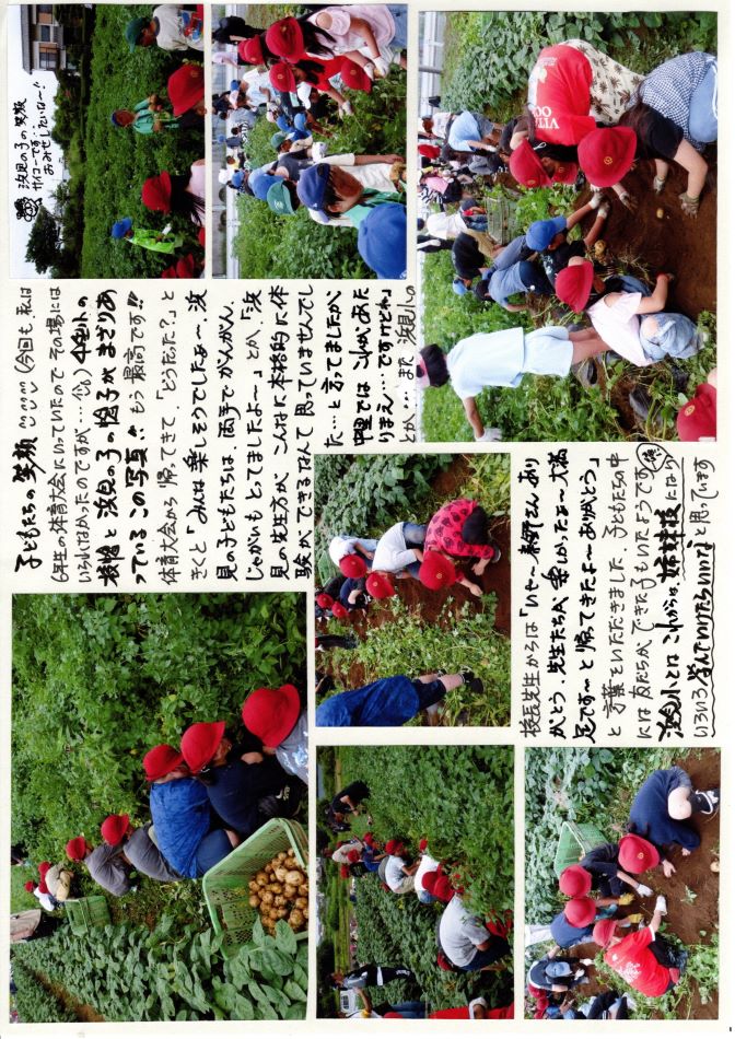 中里の風の画像2