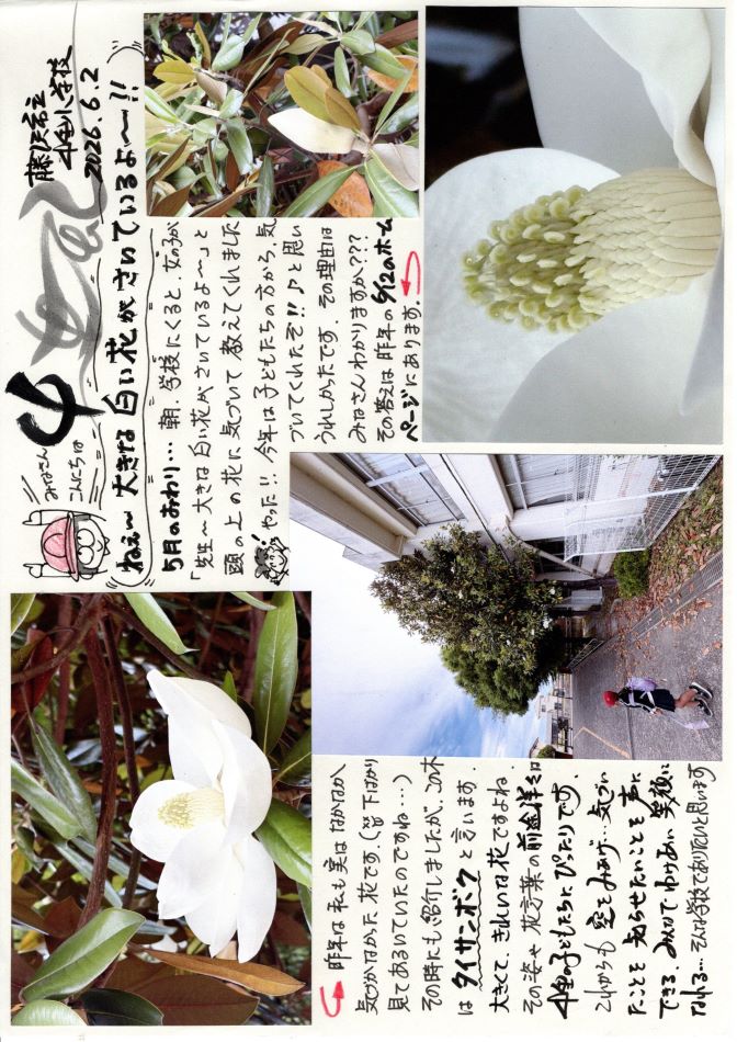 中里の風の画像