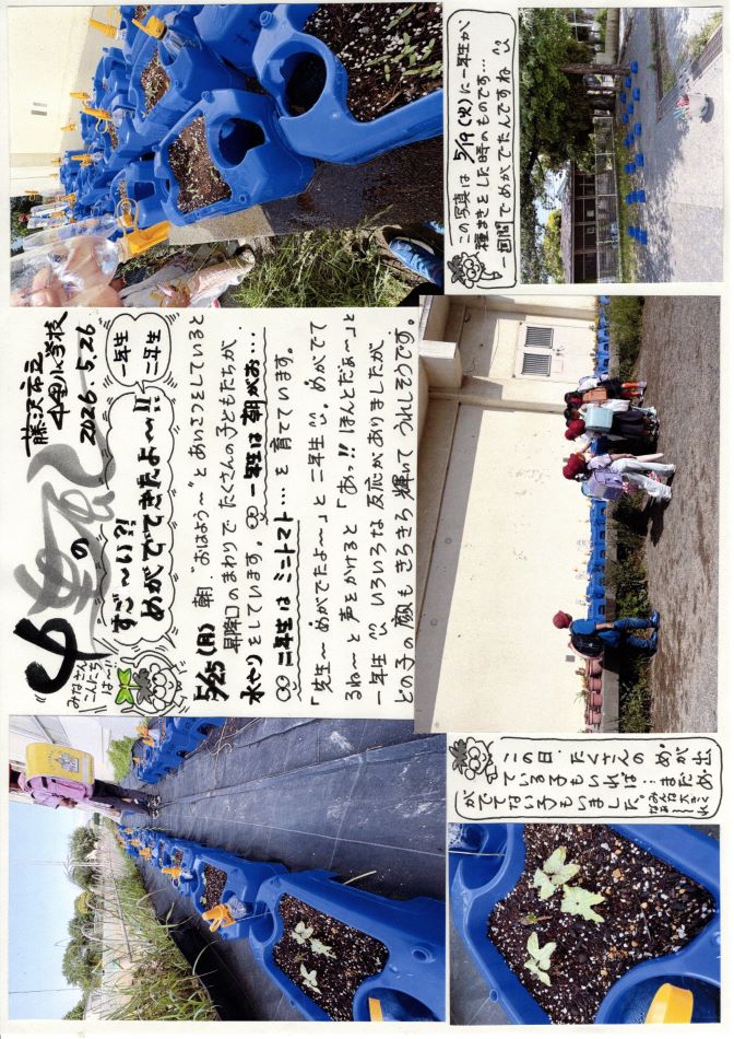 中里の風の画像
