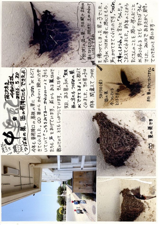 中里の風の画像