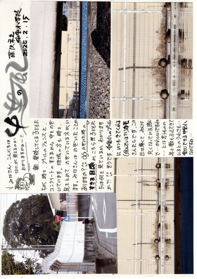 中里の風の画像