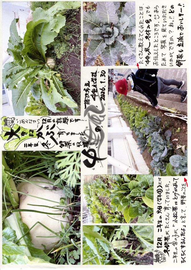 中里の風の画像1