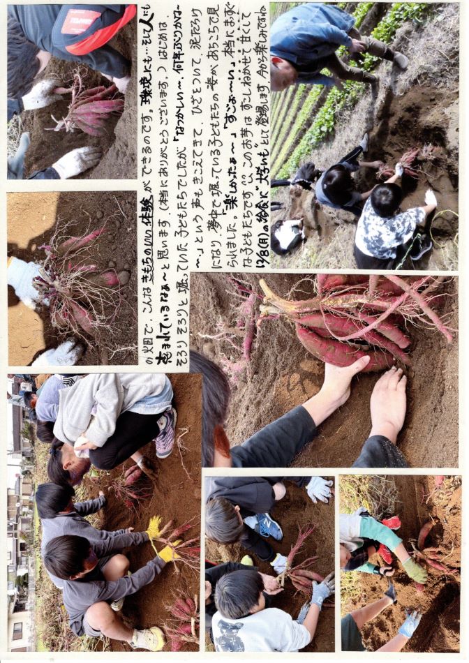 中里の風の画像2