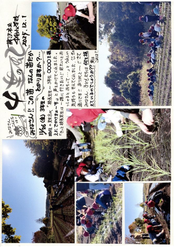 中里の風の画像1