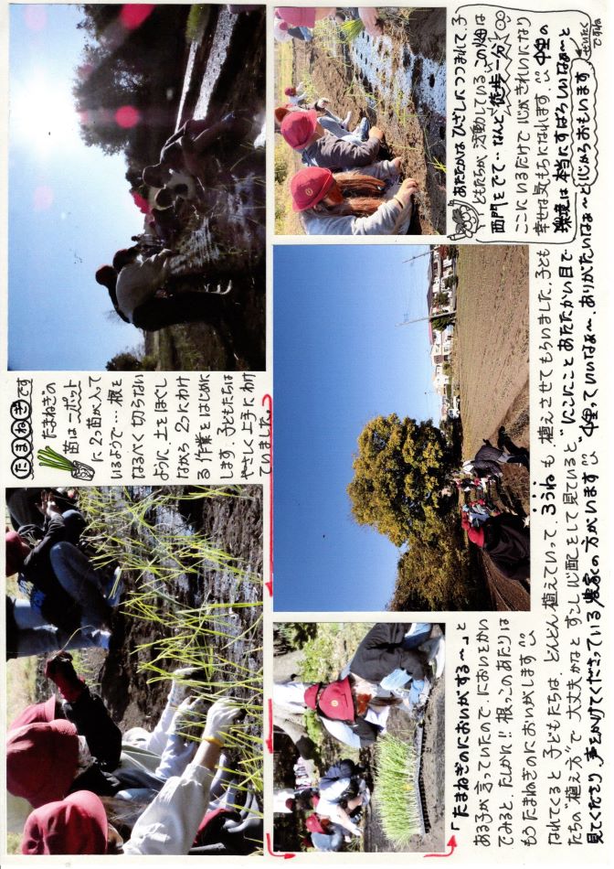中里の風の画像2