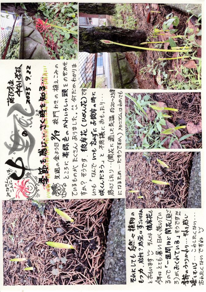 中里の風の画像