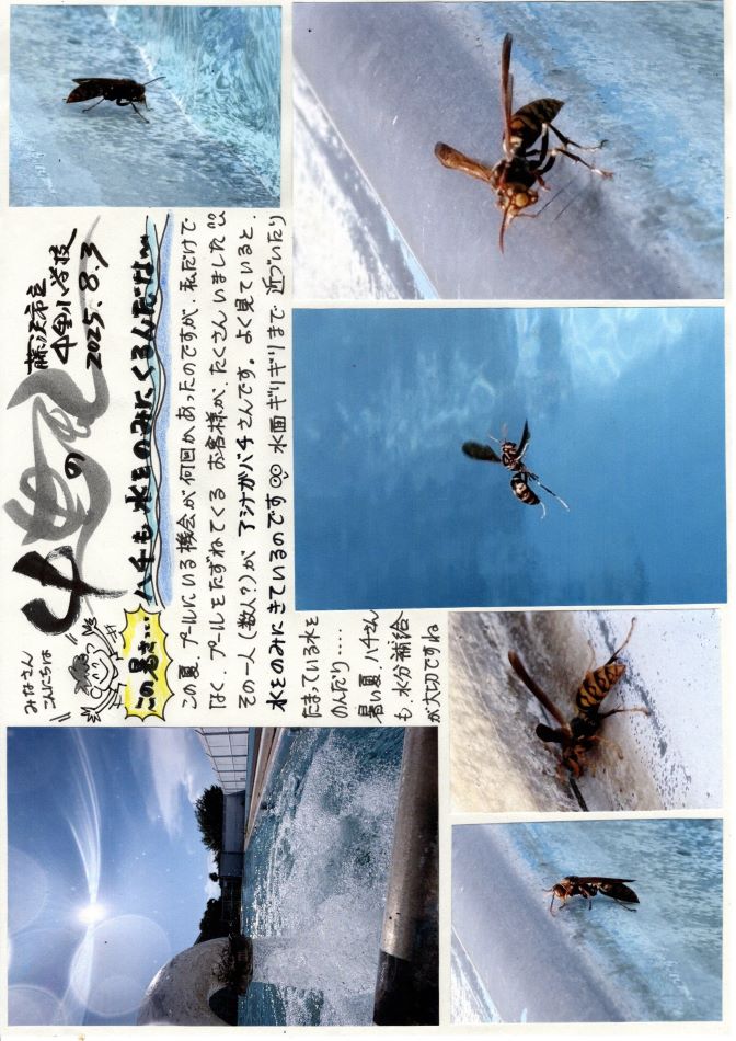 中里の風の画像