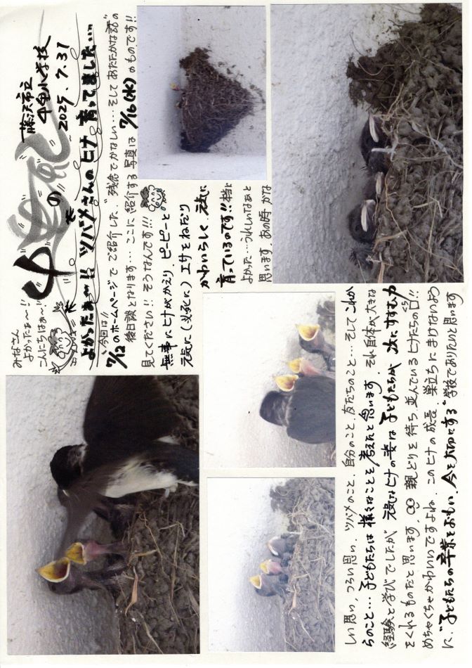 中里の風の画像
