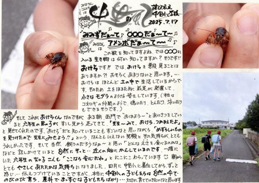 中里の風の画像