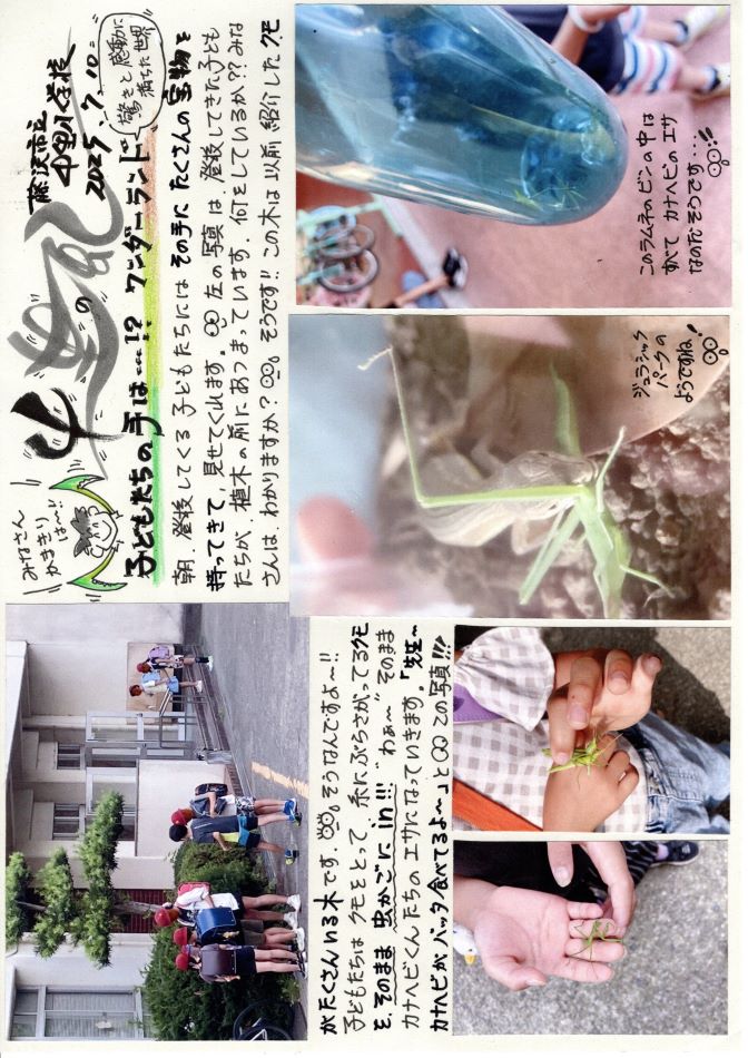 中里の風の画像1