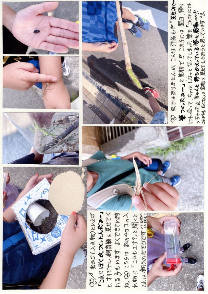 中里の風の画像2