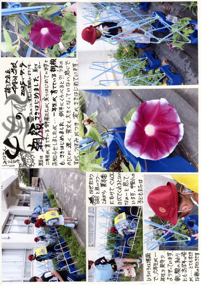中里の風の画像